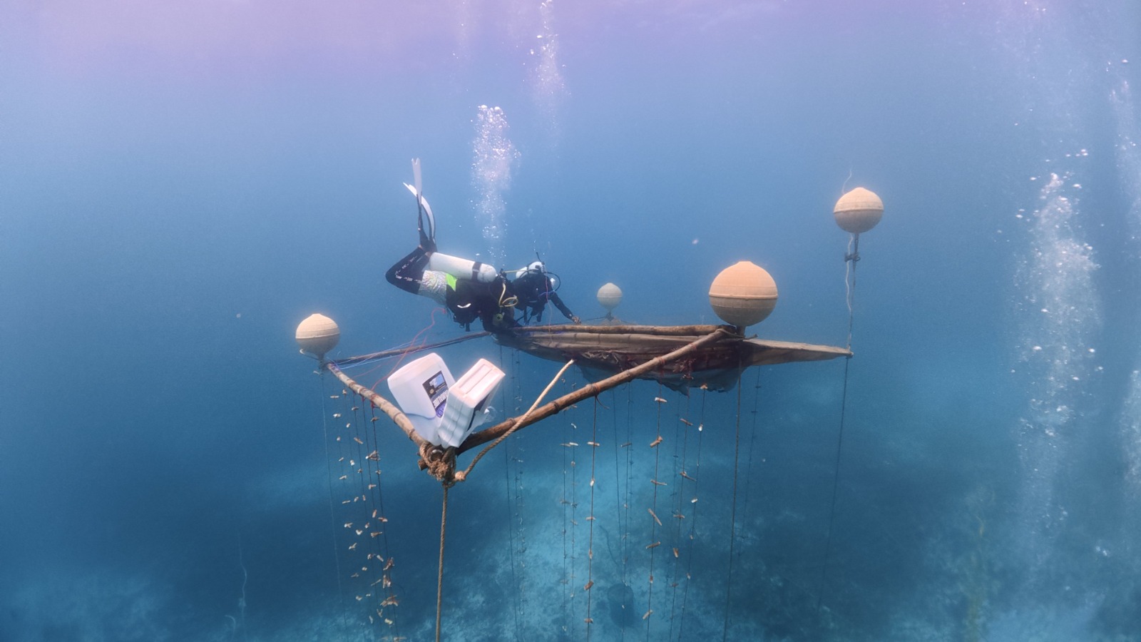 billboard